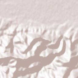 Prebold Terrain Map