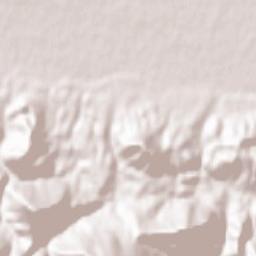 Zabukovica Terrain Map