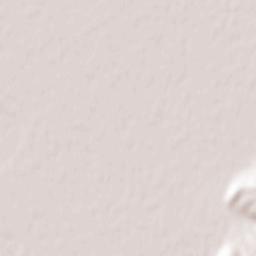 Covăsinţ Terrain Map