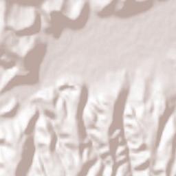 Albești Terrain Map