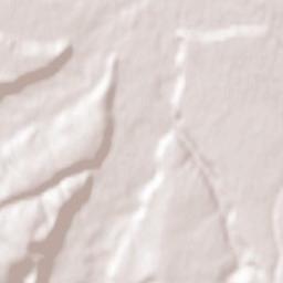 Municipiul Oneşti Terrain Map