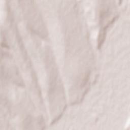 Municipiul Bârlad Terrain Map