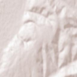 Fruntișeni Terrain Map