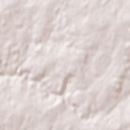 Châteauponsac Terrain Map