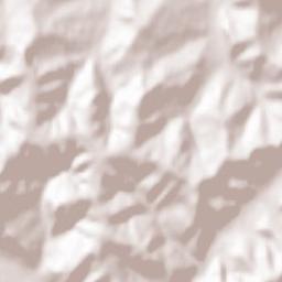 Bălcaciu Terrain Map