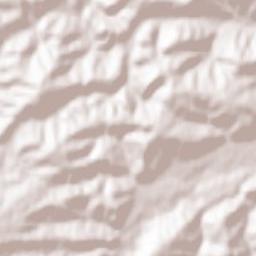 Mânăstirea Caşin Terrain Map