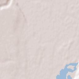 Domnești-Târg Terrain Map