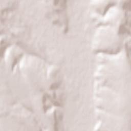 Brăhășești Terrain Map