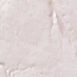 Pochidia Terrain Map