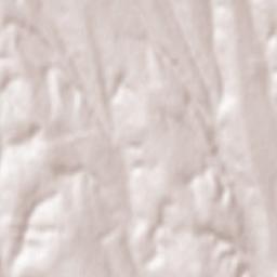 Rădești Terrain Map