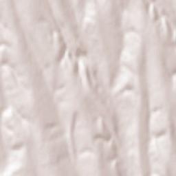 Balintești Terrain Map