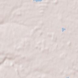 Ambérieux-en-Dombes Terrain Map