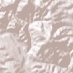 Bârseşti Terrain Map