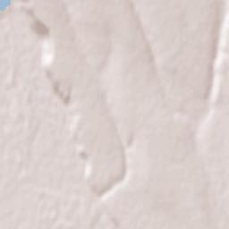 Nicoreşti Terrain Map