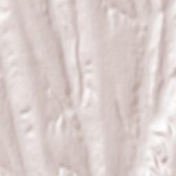 Băneasa Terrain Map