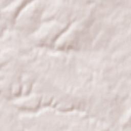 Saint-Hilaire-de-Villefranche Terrain Map