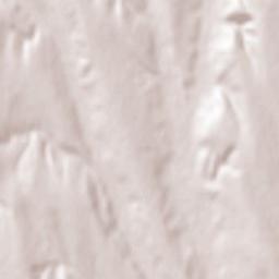 Oraș Târgu Bujor Terrain Map