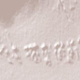 Mussolente Terrain Map