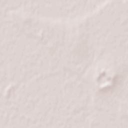 Beremend Terrain Map