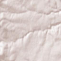 Saint-Genis-les-Ollières Terrain Map