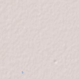 Riese Pio X Terrain Map