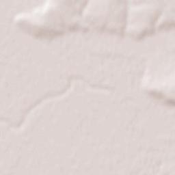 Coşteiu Terrain Map