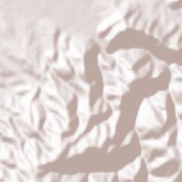 Comuna Beriu Terrain Map