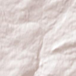 Springhill Terrain Map