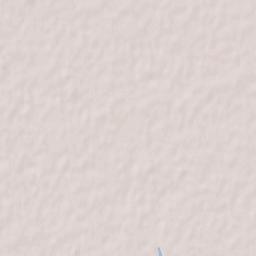 San Biagio di Callalta Terrain Map