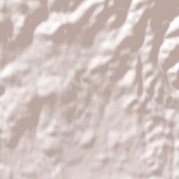 Metlika Terrain Map