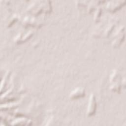 Nova Bukovica Terrain Map