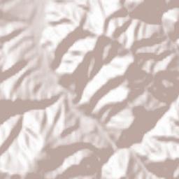 Șinca Nouă Terrain Map