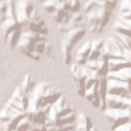 Sita Buzăului Terrain Map