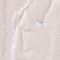 Costache Negri Terrain Map