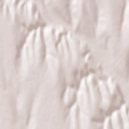 Fântânele Terrain Map