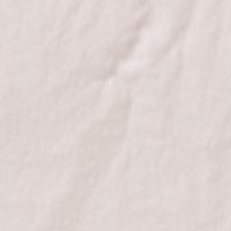 Razdol’nenskiy rayon Terrain Map