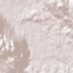 Kočevje Terrain Map
