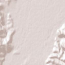 Comuna Cristian Terrain Map