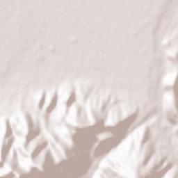 Tărlungeni Terrain Map