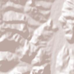 Vama Buzăului Terrain Map