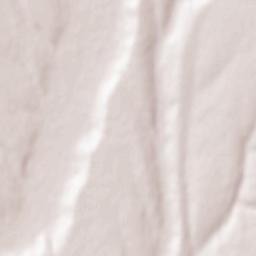 Comuna Cuza Vodă Terrain Map