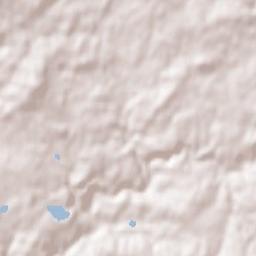 Ladignac-le-Long Terrain Map