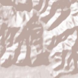 Rusca Montană Terrain Map