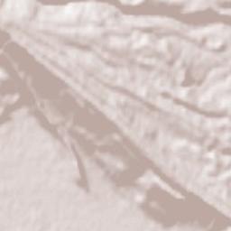 Torrazzo Terrain Map