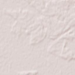 Budaševo Terrain Map