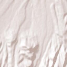 Sălaşu de Sus Terrain Map