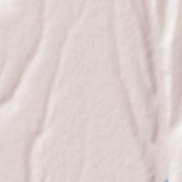 Comuna Smârdan Terrain Map