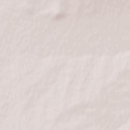 Susanino Terrain Map