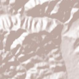 Municipiul Petroşani Terrain Map