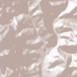 Buşteni Terrain Map